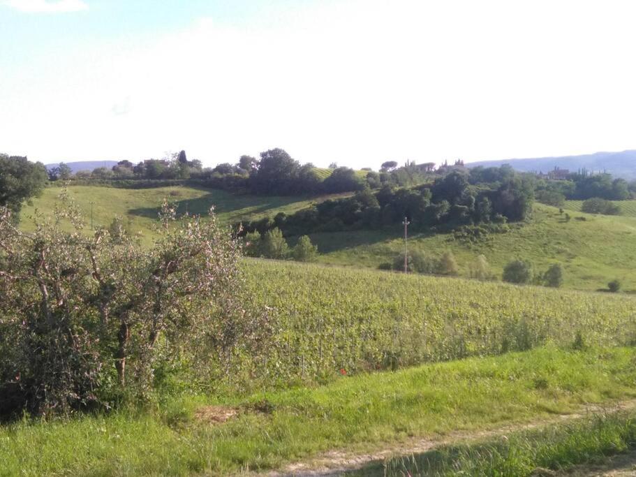 Splendido Ampio Appartamento A Montepulciano Exterior photo