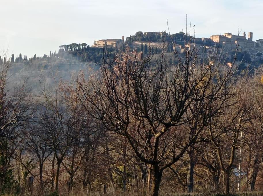 Splendido Ampio Appartamento A Montepulciano Exterior photo